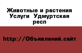 Животные и растения Услуги. Удмуртская респ.